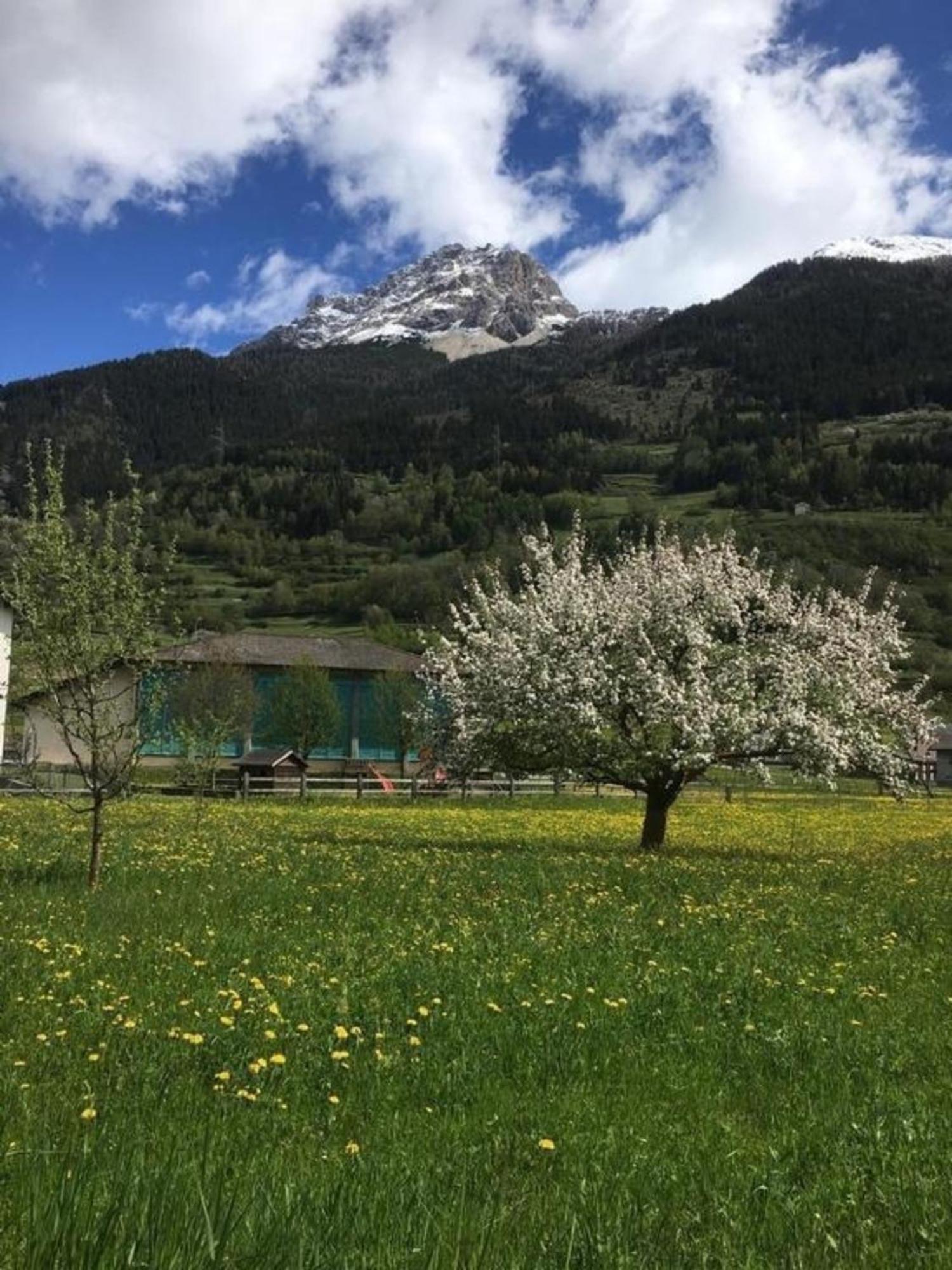 Schoene, Sonnige 25-Zimmer Parterre-Ferienwohnung Poschiavo Exterior photo