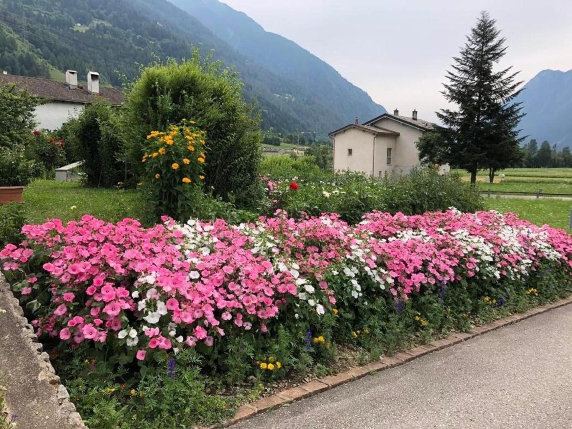 Schoene, Sonnige 25-Zimmer Parterre-Ferienwohnung Poschiavo Exterior photo